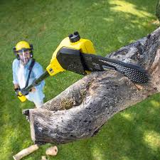 Best Utility Line Clearance  in Montezuma, GA